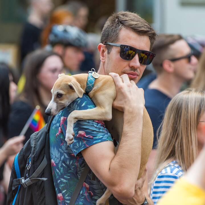 „Baltic Pride“ eitynės už lygybę