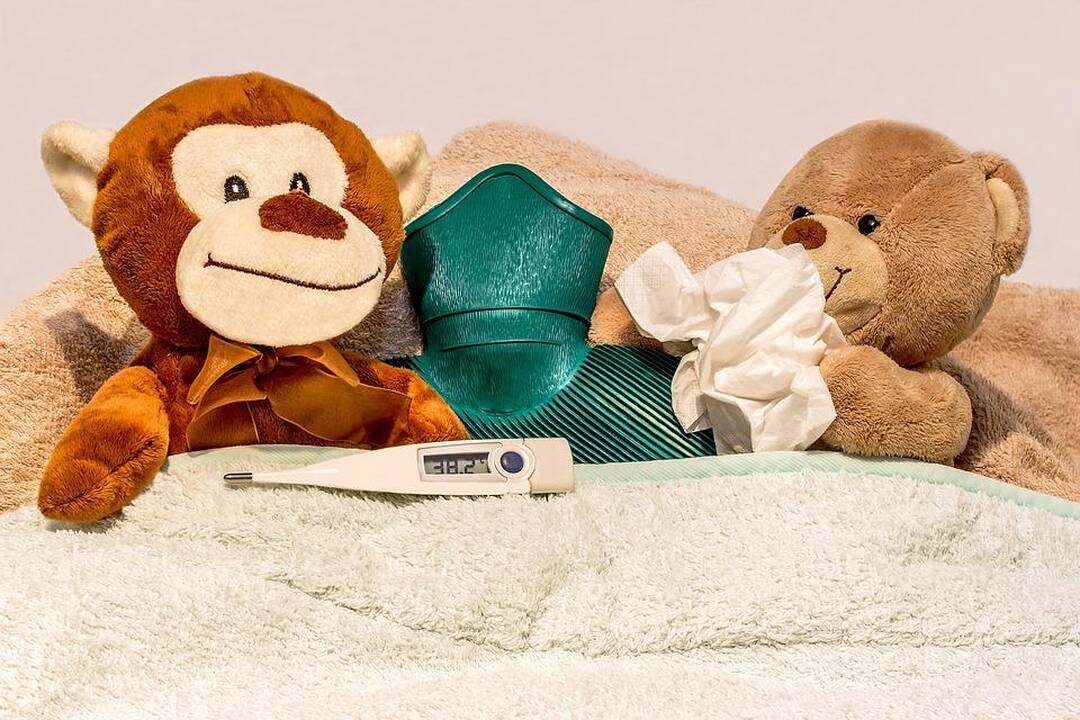 Gripo epidemija Kauno rajone dar neatšaukiama