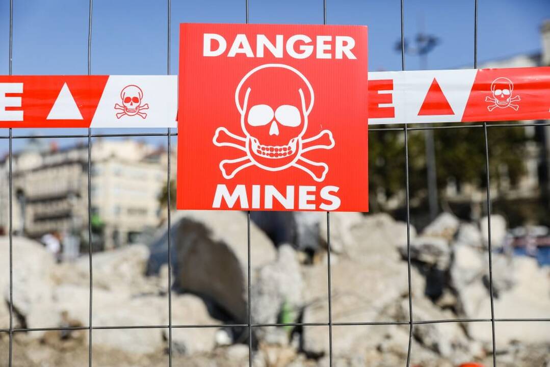 Budrys apie diskusijas sukėlusį klausimą: patarimas – viską daryti subtiliai