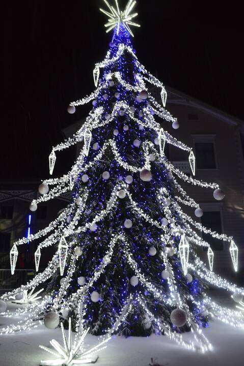 Palanga įžiebė įspūdingą žaliaskarę