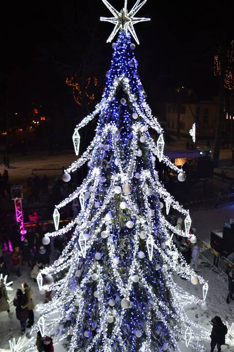 Palanga įžiebė įspūdingą žaliaskarę