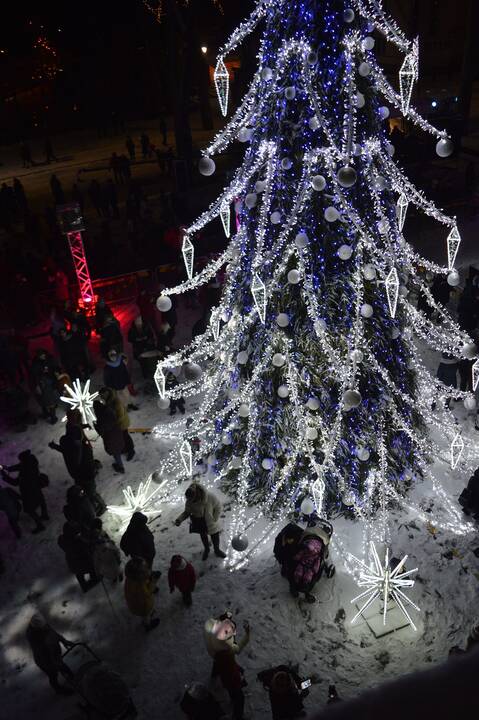 Palanga įžiebė įspūdingą žaliaskarę