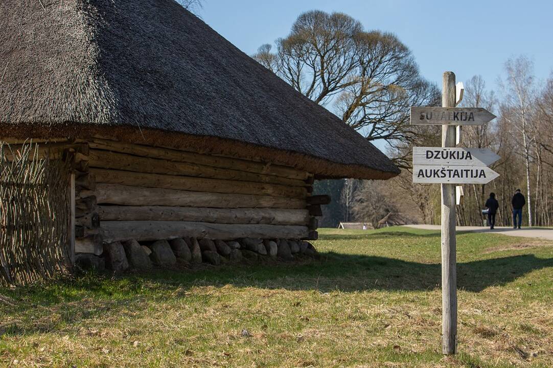 Oficialu: 2023 m. patvirtintas patobulintas Etnografinių regionų žemėlapis. Regionai yra penki: Aukštaitija, Dzūkija (Dainava), Mažoji Lietuva, Suvalkija (Sūduva) ir Žemaitija. Didmiesčių – Vilniaus ir Kauno – dabartines teritorijas nutarta išskirti kaip 