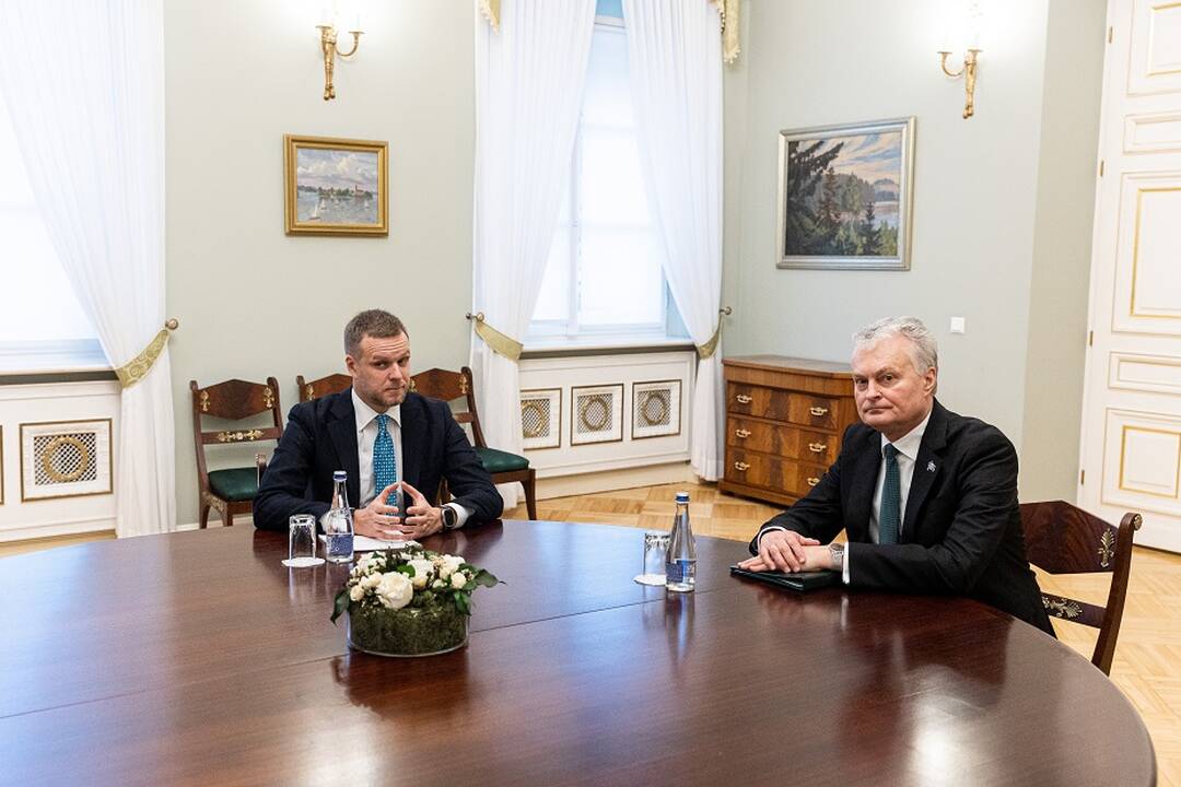 Gabrielius Landsbergis (kairėje), Gitanas Nausėda