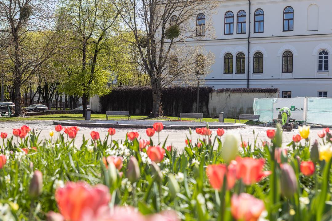 Vizija: dar pernai pristatyti planai dalį Steigiamojo Seimo aikštės užstatyti pastatais.