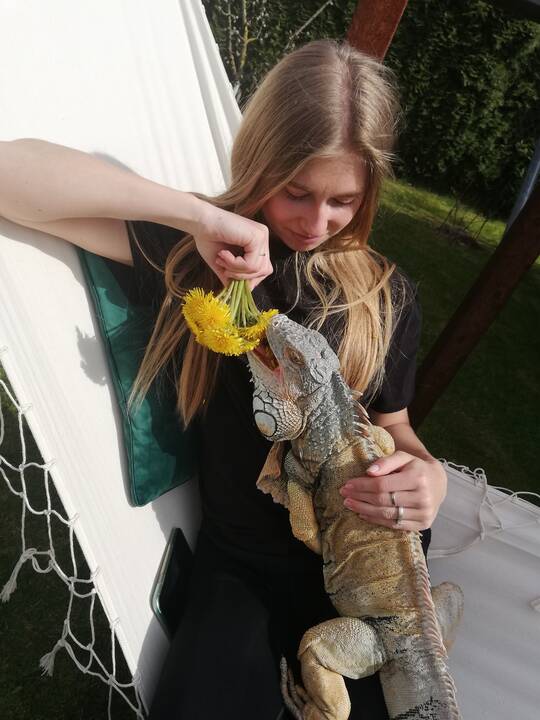 Rimutė Ratkevičienė juos ne tik prižiūri, maitina, bet ir gydo ar migdo savo lovoje.
