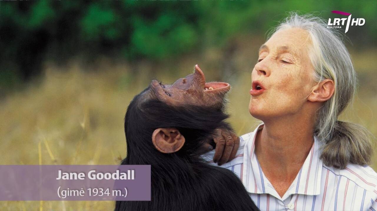 Jane Goodall