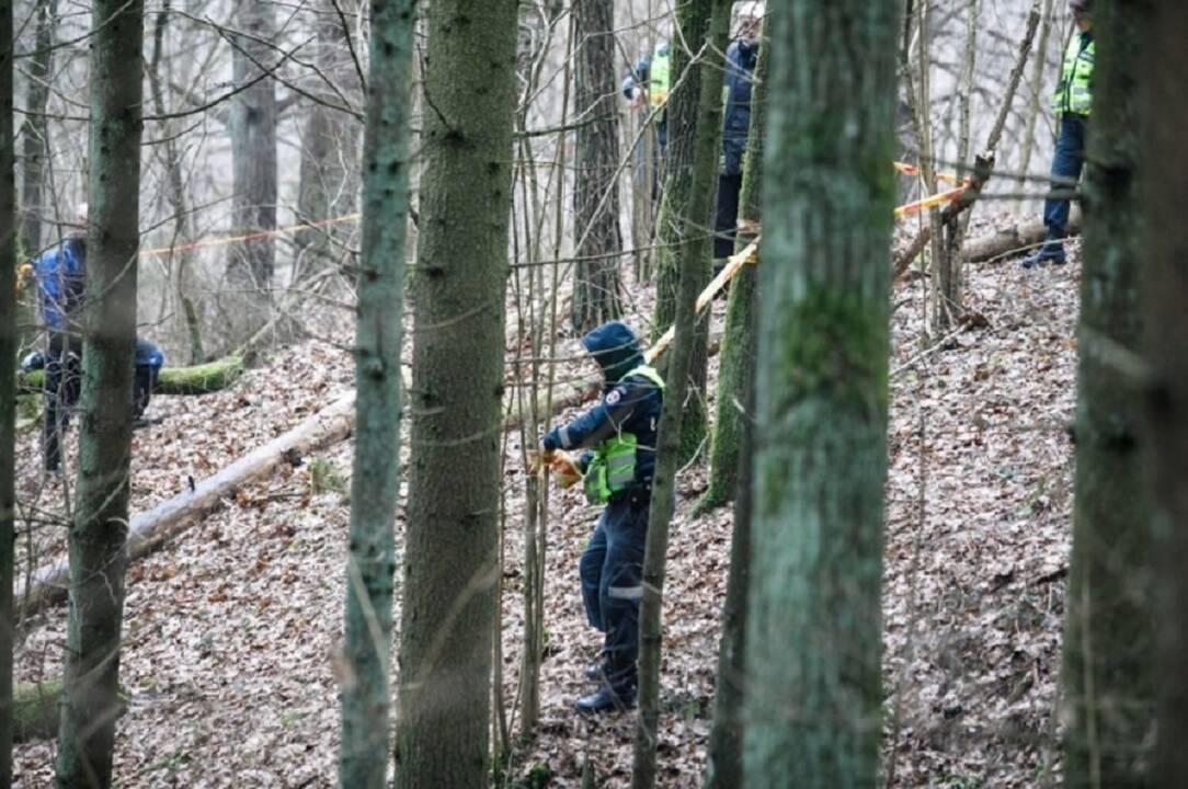 Šiurpus radinys: aptikti, kaip įtariama, žmogaus kaulai