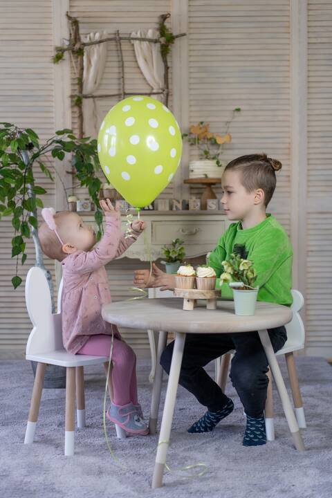 Žinomos šeimos mini Gandrines
