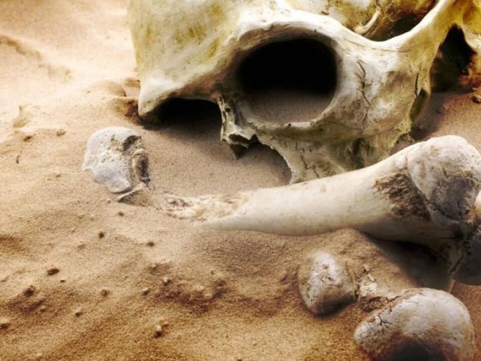 Kaišiadorių rajone rasti žmogaus kaulai