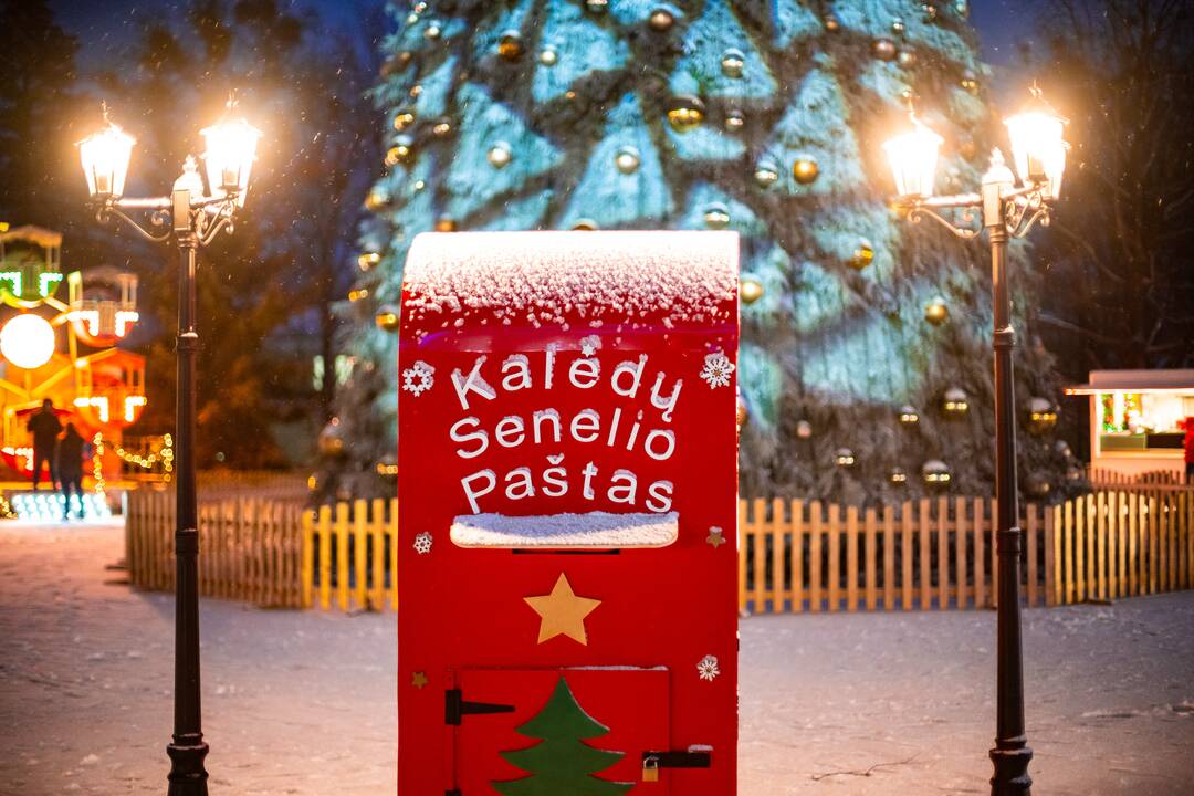 Druskininkuose įžiebta eglutė
