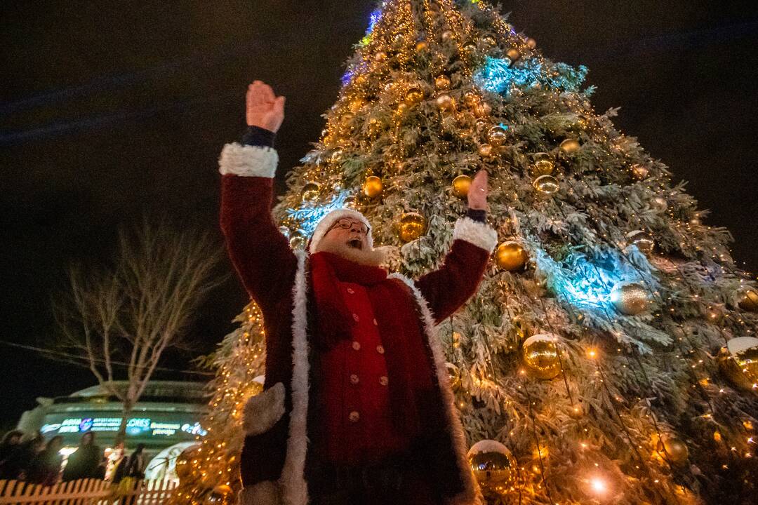 Druskininkuose įžiebta eglutė