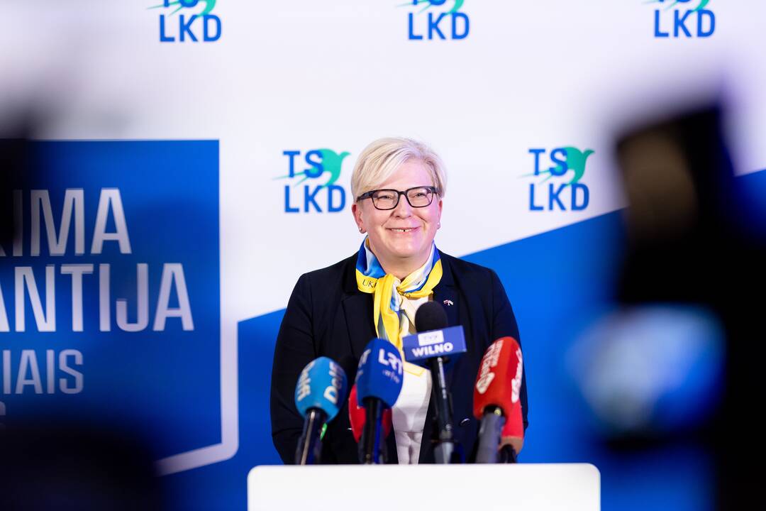 2024-ųjų Seimo rinkimai:  TS-LKD nariai laukia rinkimų rezultatų