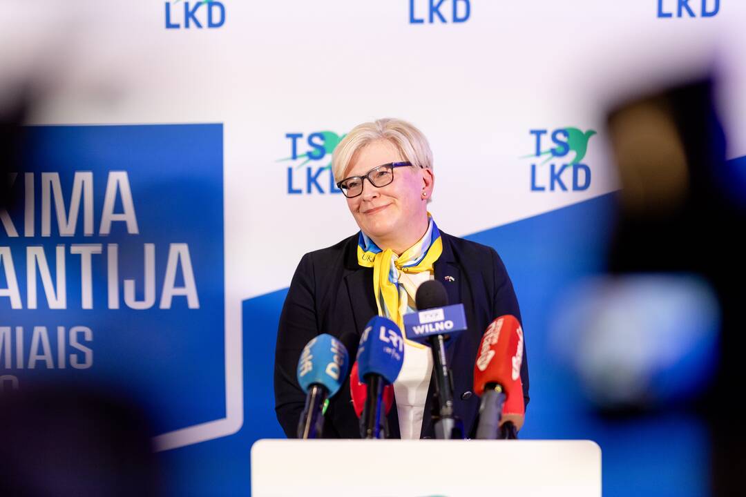2024-ųjų Seimo rinkimai:  TS-LKD nariai laukia rinkimų rezultatų