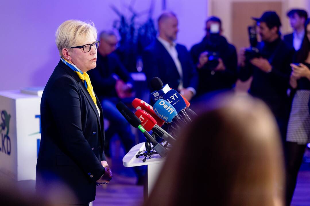 2024-ųjų Seimo rinkimai:  TS-LKD nariai laukia rinkimų rezultatų