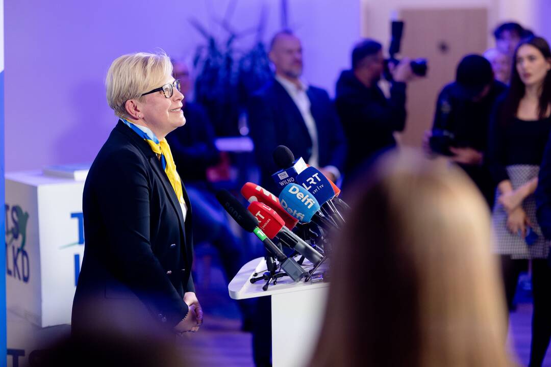 2024-ųjų Seimo rinkimai:  TS-LKD nariai laukia rinkimų rezultatų