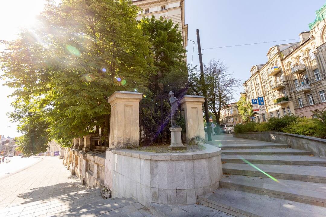 V. Benkunskas žada atvykti į protestą dėl medžių kirtimo: tikisi, kad verslas persigalvos