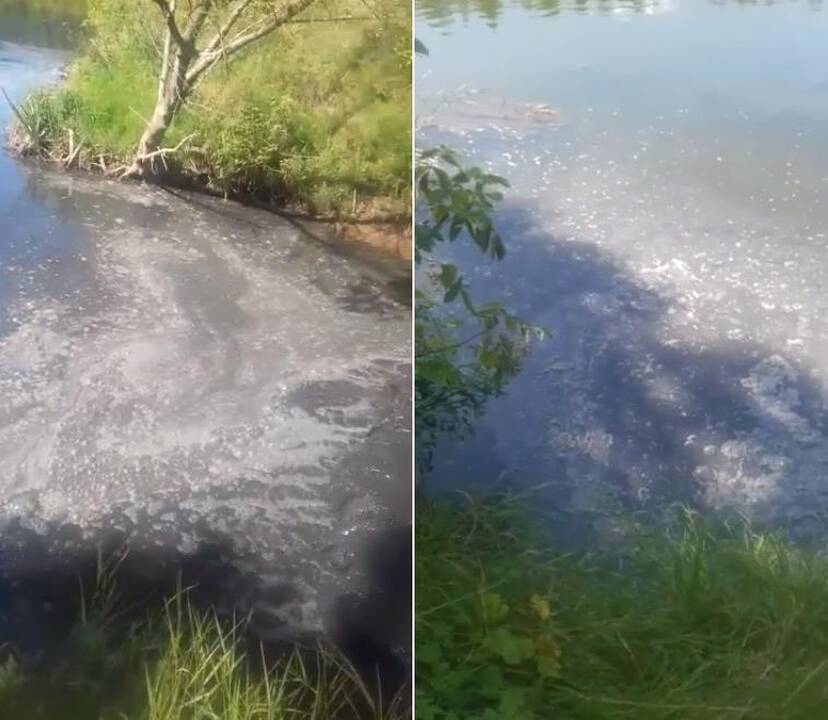 Nuvykus pažvejoti Neryje – dvokianti staigmena