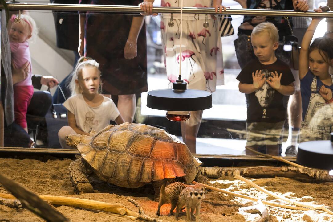 Vilniuje duris atvėrė zoologijos sodas