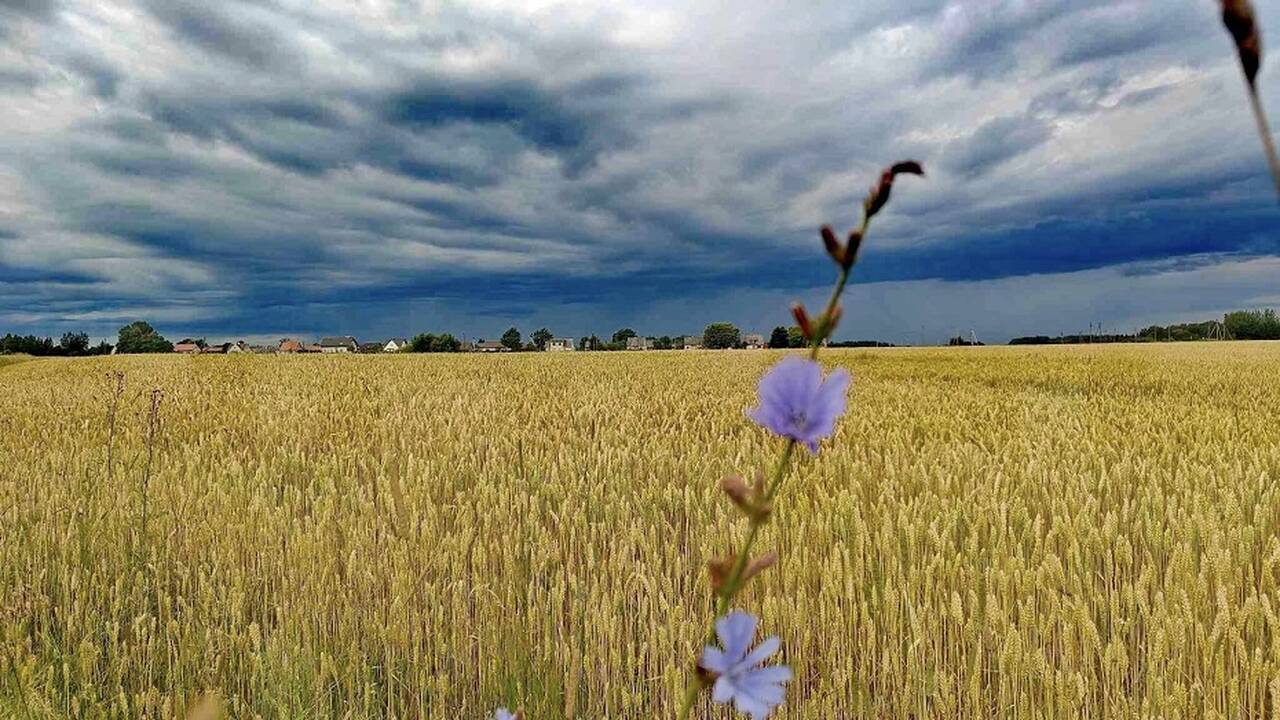 Orai Lietuvoje: prognozuojami karščiai, perkūnija, gūsingas vėjas