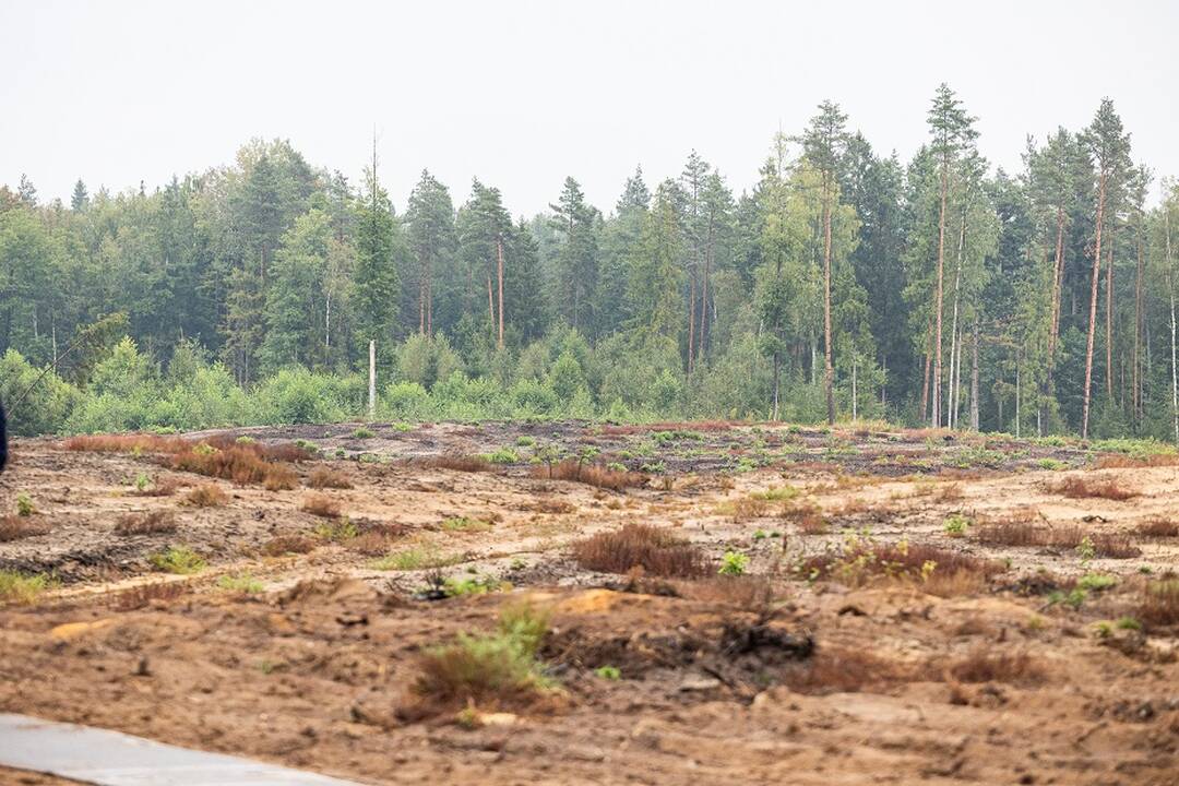 Viceministras: steigiant poligonus peržiūrimos jų ribos, bet visų norų atliepti nepavyks