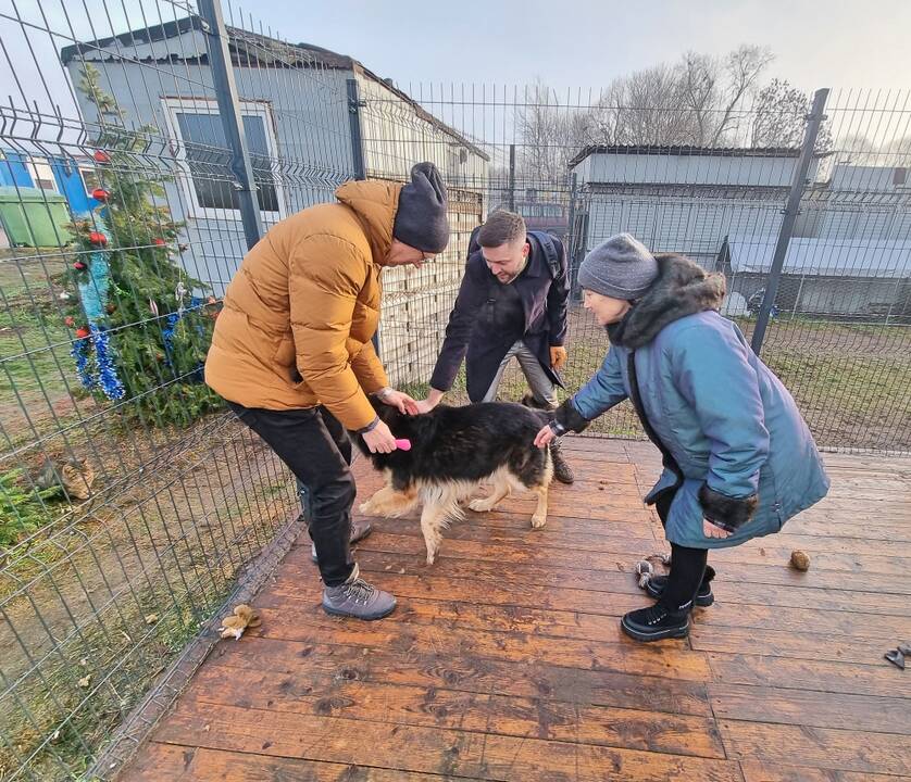 U. Radvila ir TS-LKD kandidatas į Klaipėdos merus Audrius Petrošius su prieglaudos „Būk mano draugas“ šeimininke G. Kučinskiene aptarė, kaip šiai didžiausiai gyvūnų priežiūros įstaigai galėtų pagelbėti savivaldybė ir bendruomenės.