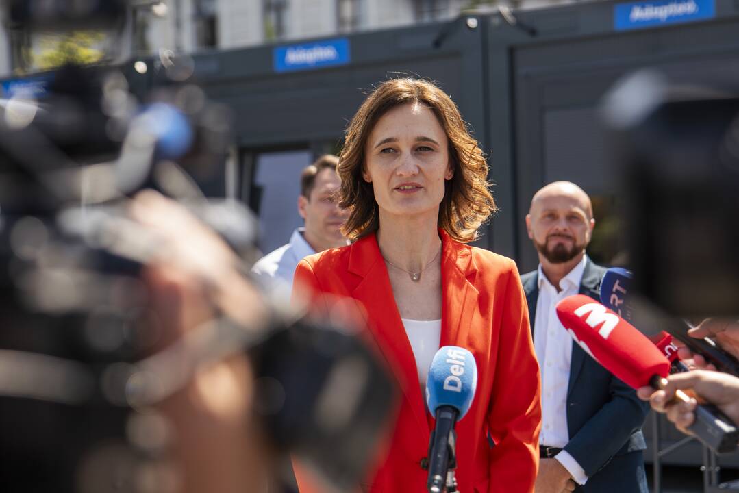 V. Čmilytė-Nielsen iš anksto balsavo EP rinkimuose