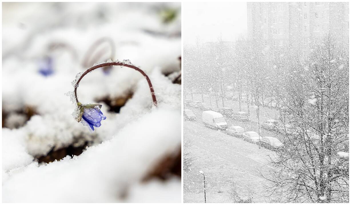 Orai Lietuvoje: kur prisnigo gausiausiai?