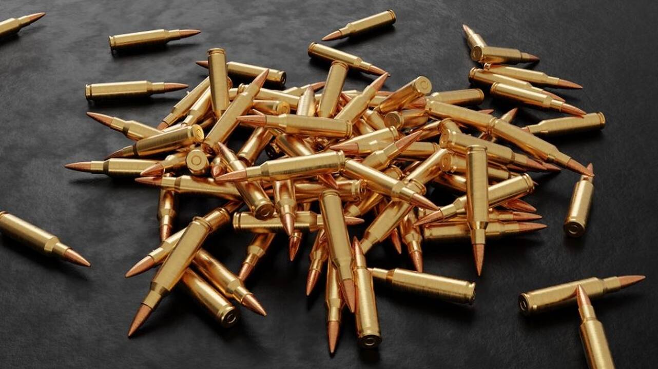Sandėliuke Klaipėdos rajone aptikti kulkosvaidžio ir medžiokliniai šoviniai