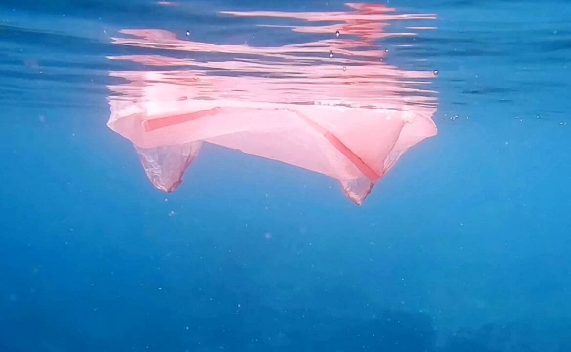 Asociatyvi nuotr.