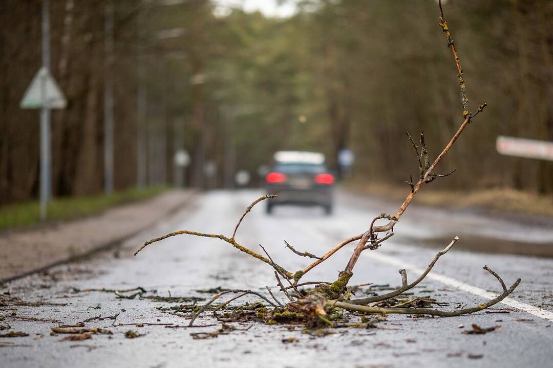 Įspėja: laukia smarkūs vėjo gūsiai ir pirmosios šlapios snaigės
