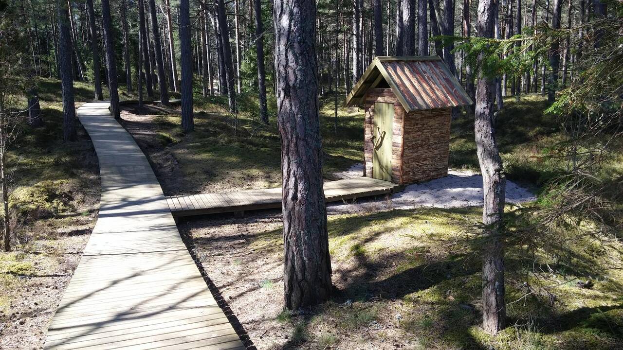 Siekis: uostamiesčio paplūdimiuose norima įrengti panašų taką kaip Latvijos gyvenvietėje Roja.
