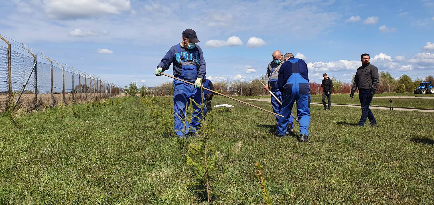 „Klaipėdos vanduo“ kolektyvas šiemet pirmasis Šernų girininkijoje prisidėjęs prie miško sodinimo akcijos ateities kartoms.