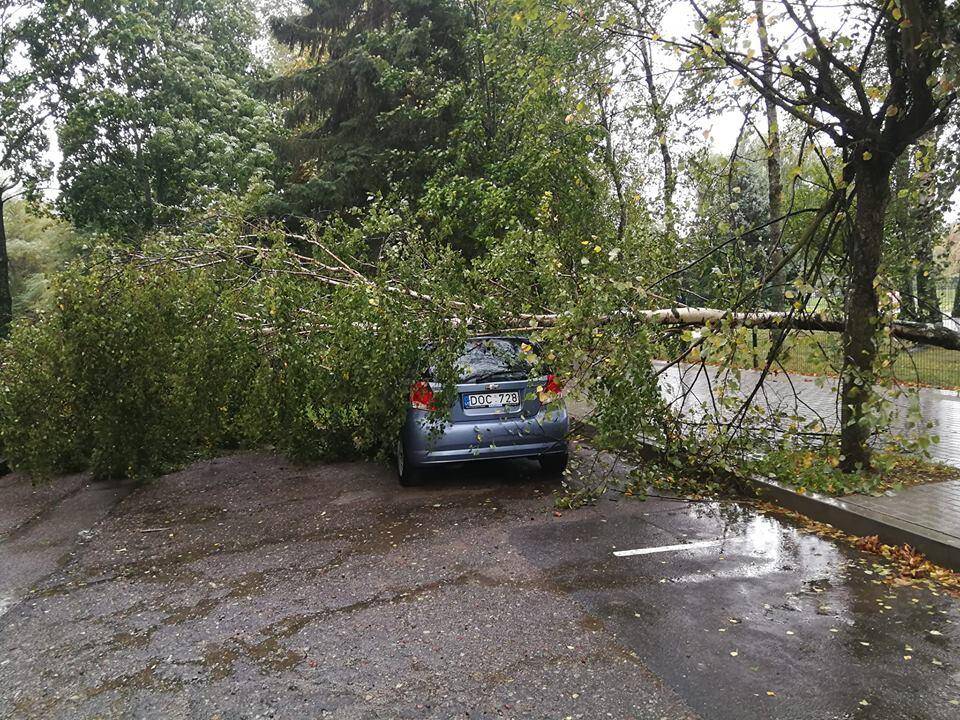 Prognozės: šio rudens orai stebina klaipėdiečius.