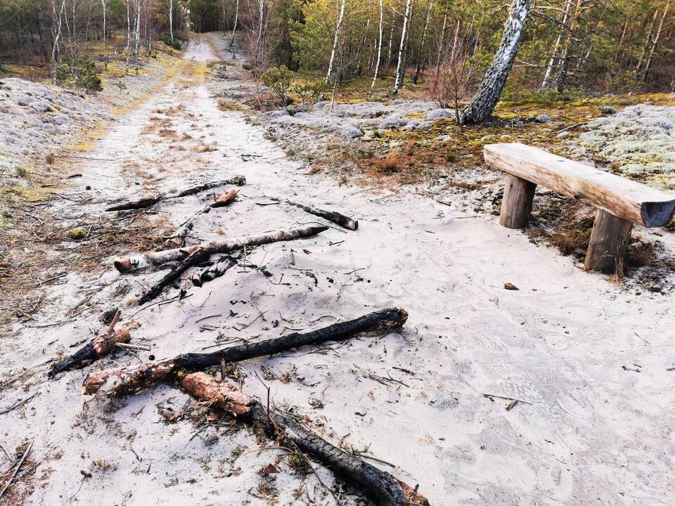 Poilsiavo: aplinkosaugininkai, aptikę ant miško keliuko kūrentą laužavietę, perspėja, kad už atviros ugnies kurstymą nerijos miškuose gresia atsakomybė.