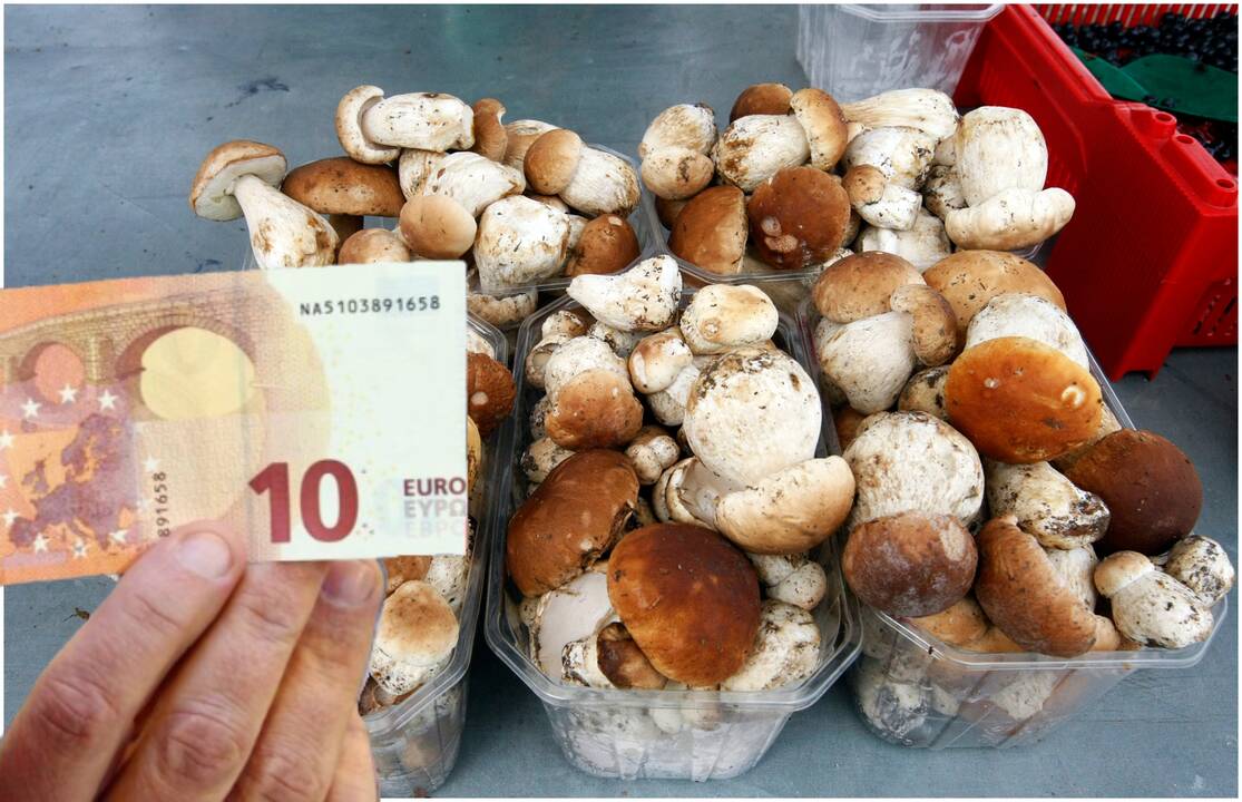 Kainos: lietuvių taip mėgstamų baravykų šiuo metu turguje galima įsigyti už 4–5 eurus už pusę kilogramo.