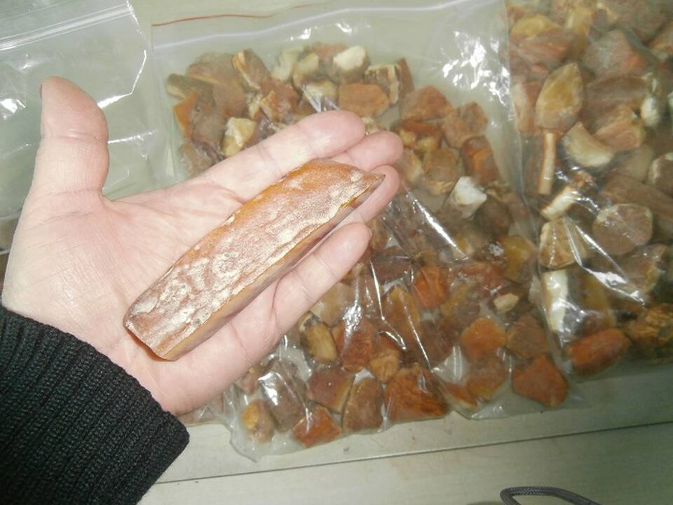 Asociatyvi nuotr.