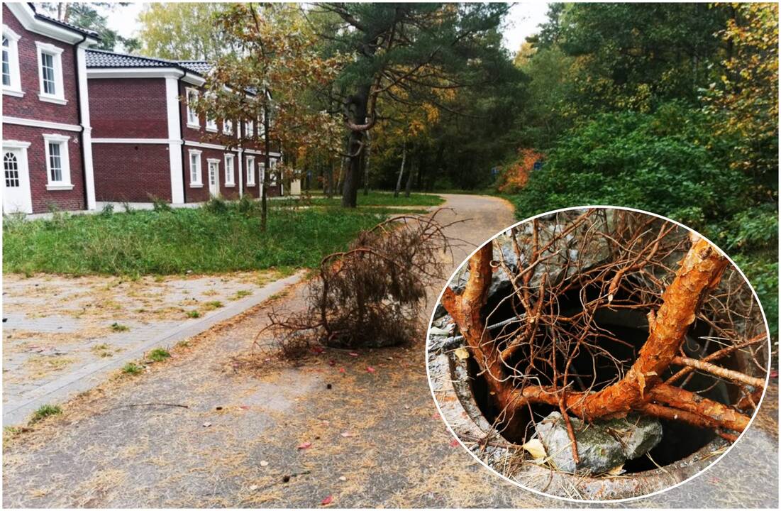 Pažymėjo: tokiu būdu gyventojai pažymėjo komunikacinį šulinį, kurio dangtis čia dingsta antrą kartą per metus.