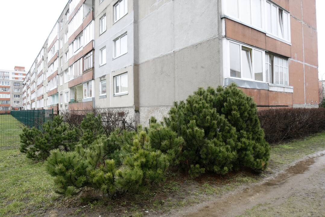 Smarvė: I.Simonaitytės g. 23-iojo namo kampas dvokia it viešasis tualetas, gyventojai reikalauja miesto prižiūrėtojų dėmesio.