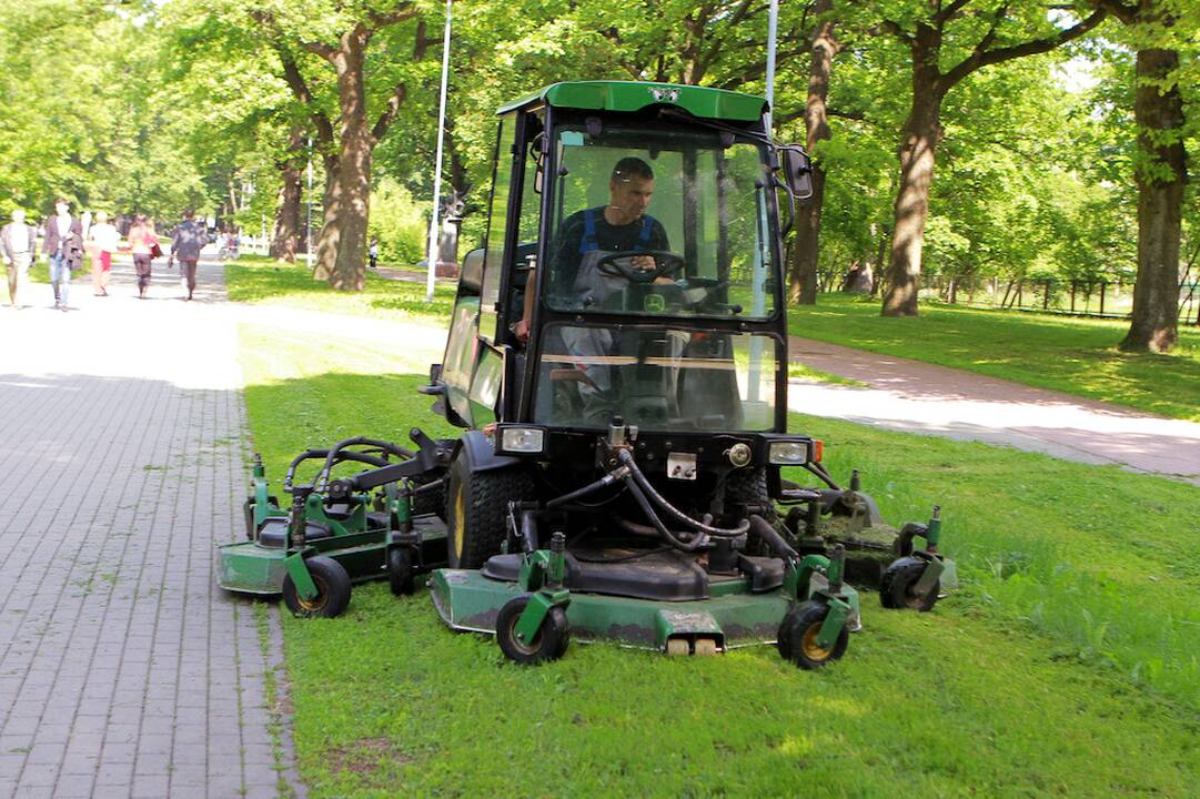 Sezonas: nors pavasaris šiemet buvo vėsokas, žolė auga labai sparčiai. Klaipėdoje viešieji plotai šienaujami jau trečią savaitę.