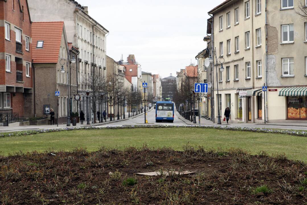 Pasigedo: klaipėdiečiai pastebėjo, kad jau kurį laiką Senojo turgaus žiedinės sankryžos centre esančiame gėlyne nebeliko laikrodžio.