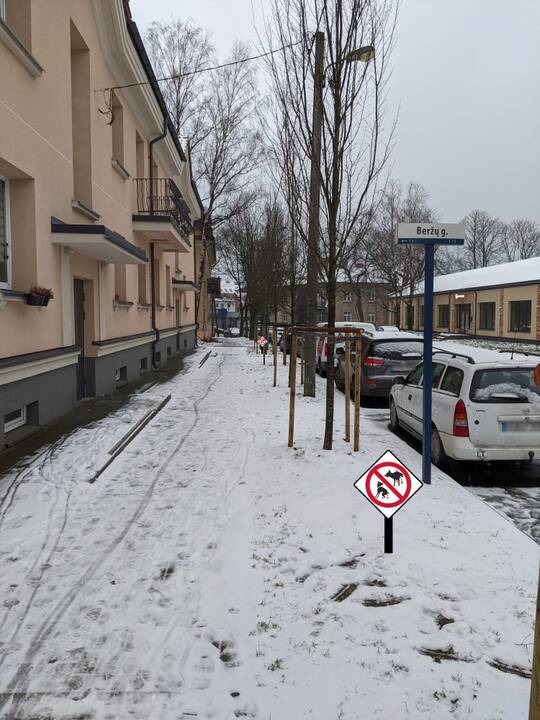 Švara: Malūnininkų gatvės gyventojai nori uždrausti savo kieme vedžioti šunis.