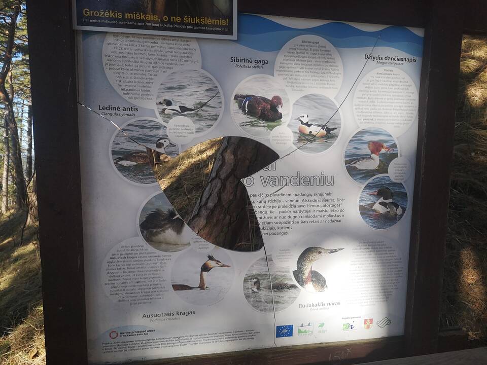 Nestebina: parko darbuotojams kasmet tenka keisti suniokotus informacinius stendus.