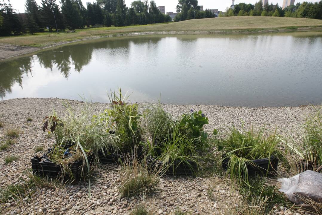 Atvežė: krante surinkę dirbtinės salos konstrukciją mokslininkai nuplukdė ją į tvenkinio vidurį.