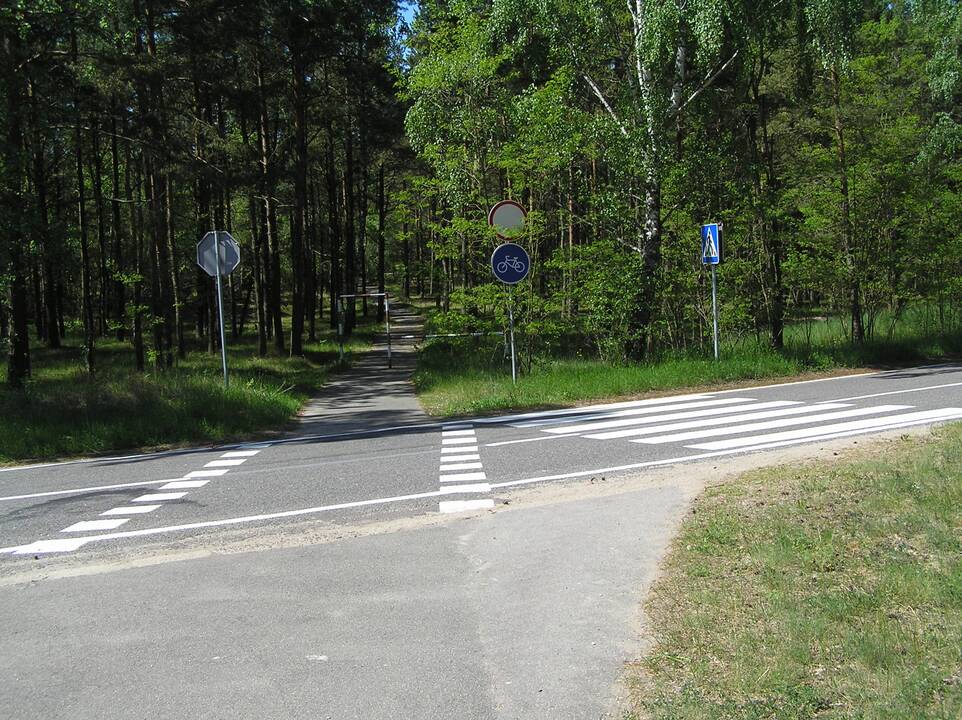 Atnaujins: Smiltynėje žadama sutvarkyti daugiau nei 800 m dviračių tako nuo Naujosios perkėlos iki Neringos ribos.