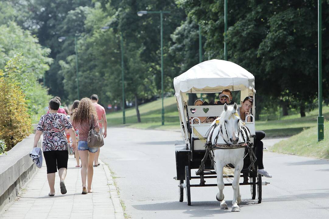 Realybė: arkliais kinkytų karietų verslas traukiasi į užribį. Gali būti, kad ateityje šios pramogos pajūryje visai neliks.