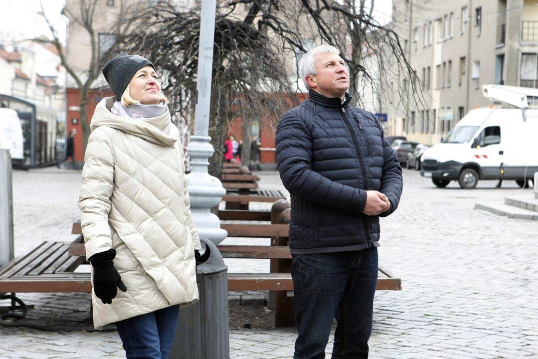 Pradėta montuoti Klaipėdos eglutė