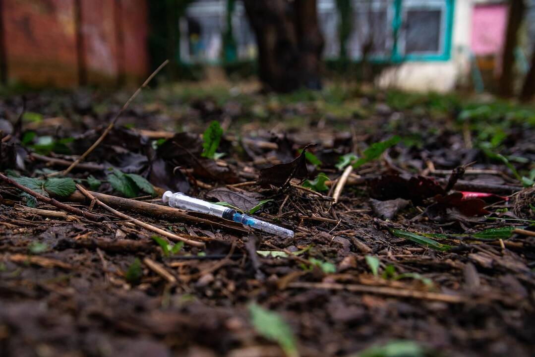 Vaizdai: sunku patikėti, kad šiame pastate kadaise veikė ugdymo įstaiga. Dabar praeiviai vengia įkelti koją į jo teritoriją.