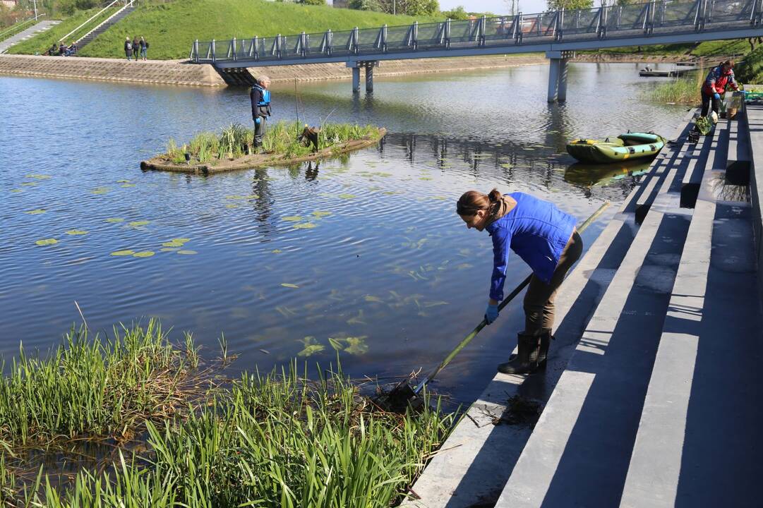 Eksperimentai: dirbtinėje saloje mokslininkai išbando įvairių rūšių augalus.