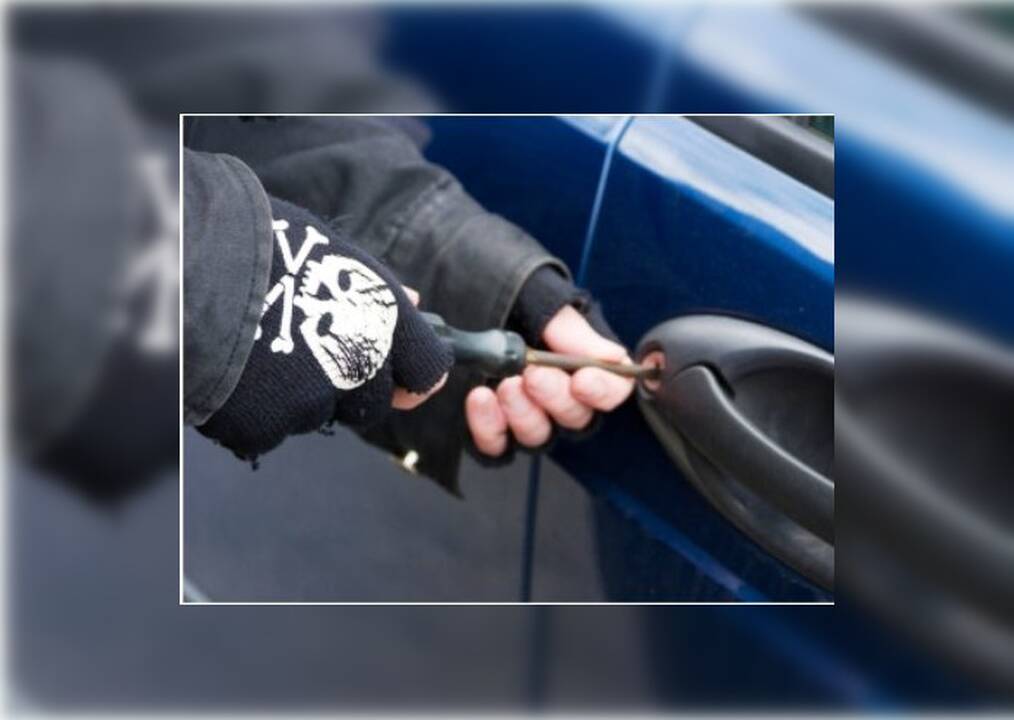 Veiksmai: kai mašinos savininkas išėjo į kiemą, įtariamąjį jau rado salone.